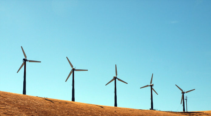 Okiem ekologa w podróży