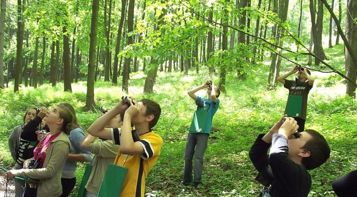 Szkoła Leśna w Bielawie – Międzynarodowy Ośrodek Edukacji Ekologicznej